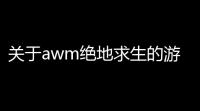 关于awm绝地求生的游戏id,awm绝地求生攻受分别是谁