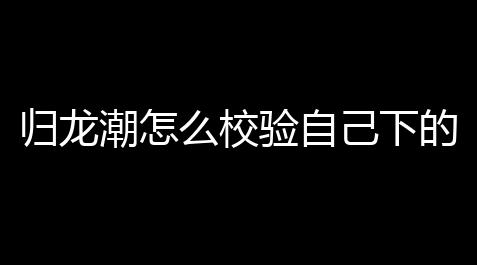 归龙潮怎么校验自己下的是不是官服【六芒星辅助器免费版】